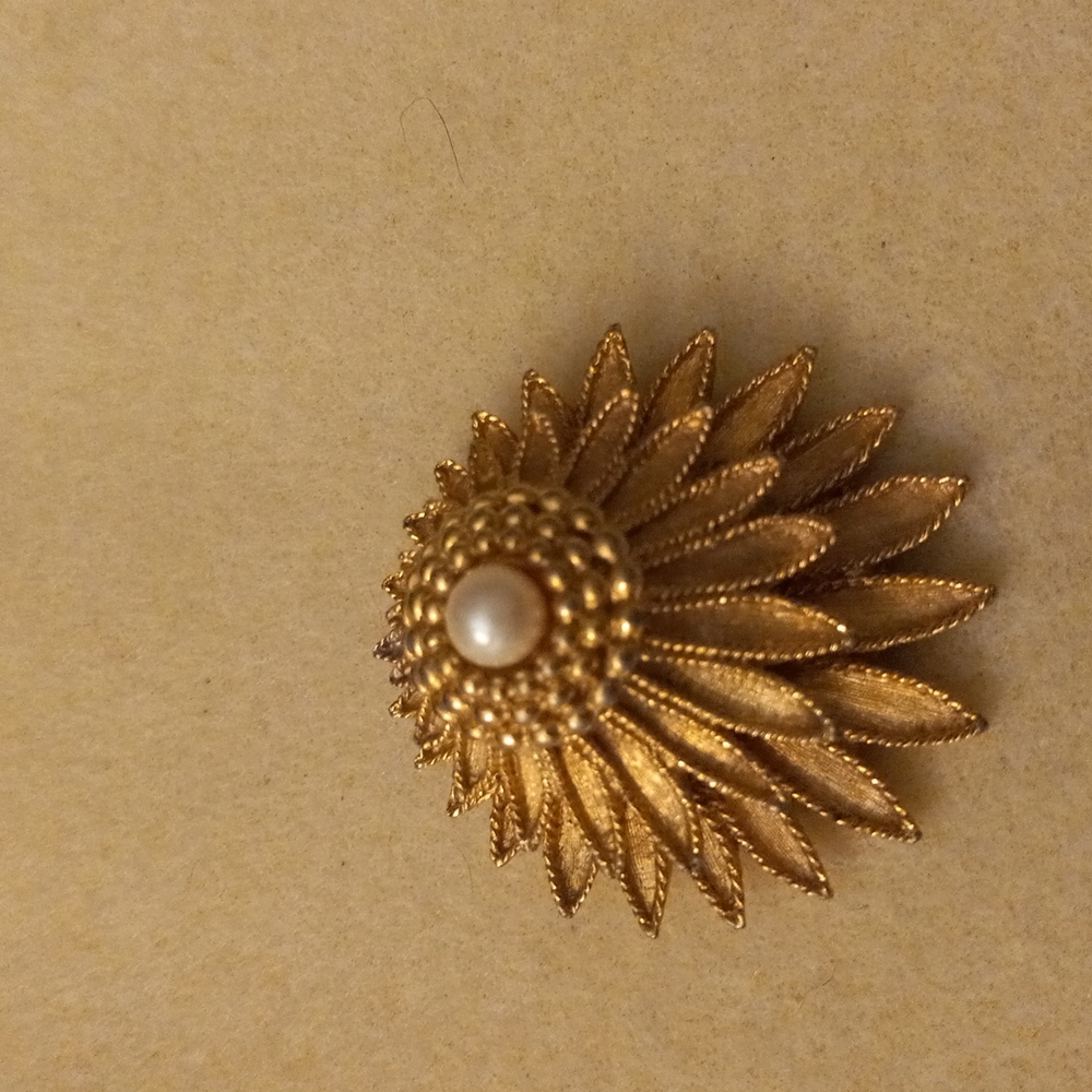 Boucher brooch
